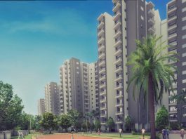 Purva 270