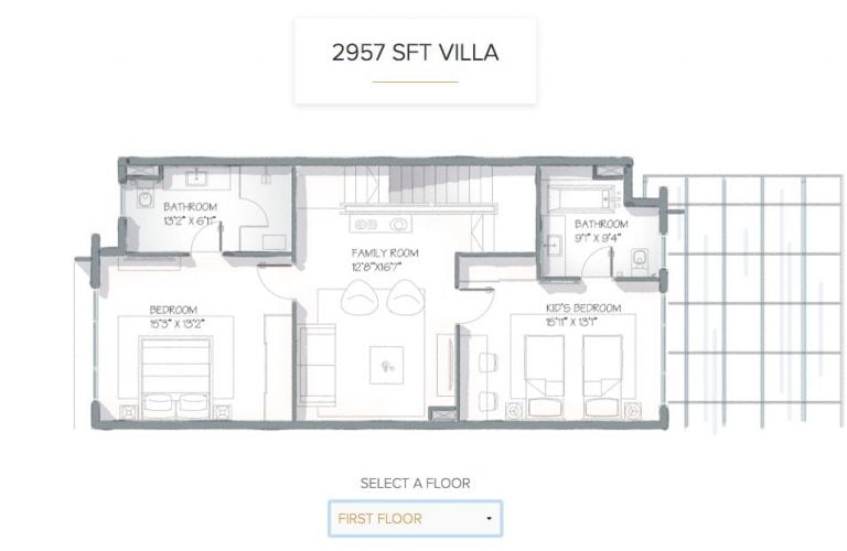 Pvt Garden – 2957 FF – Orchid Alanoville
