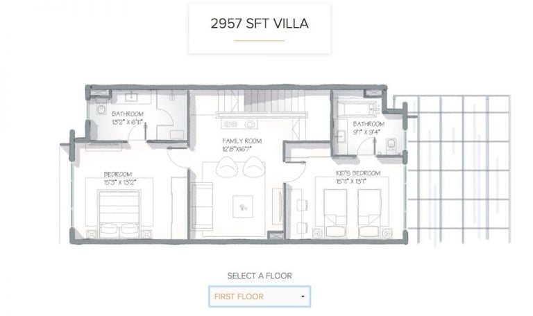 Wade Pool – 2957 FF – Orchid Alanoville