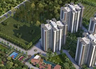 Alembic Urban Forest