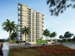 prestige-pinewood