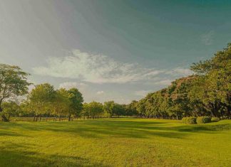 Ozone KNS Oasis Homznspace