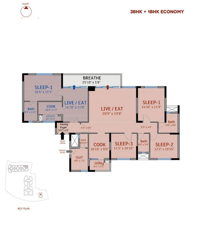 3-bhk-1-bhk-economy-77-place-homznspace