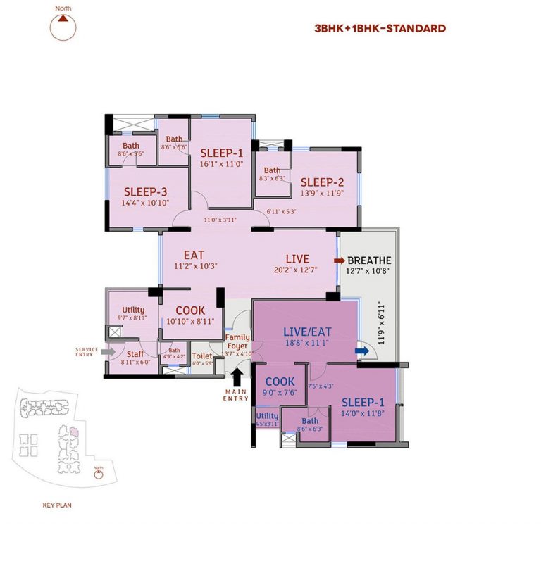 3-bhk-1-bhk-standard-77-place-homznspace