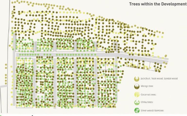 tree-map-fortius-under-the-sun