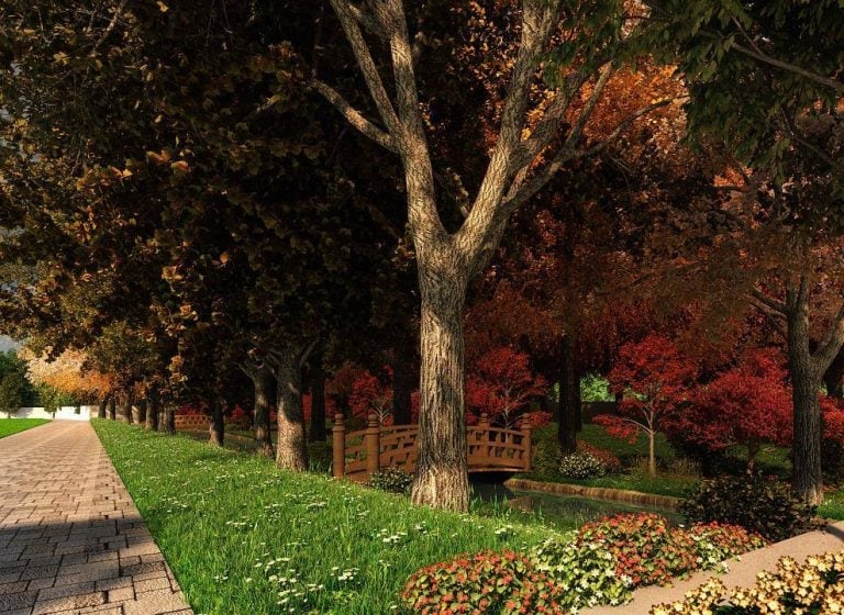 Parks And Walkways – Concorde HillCrest