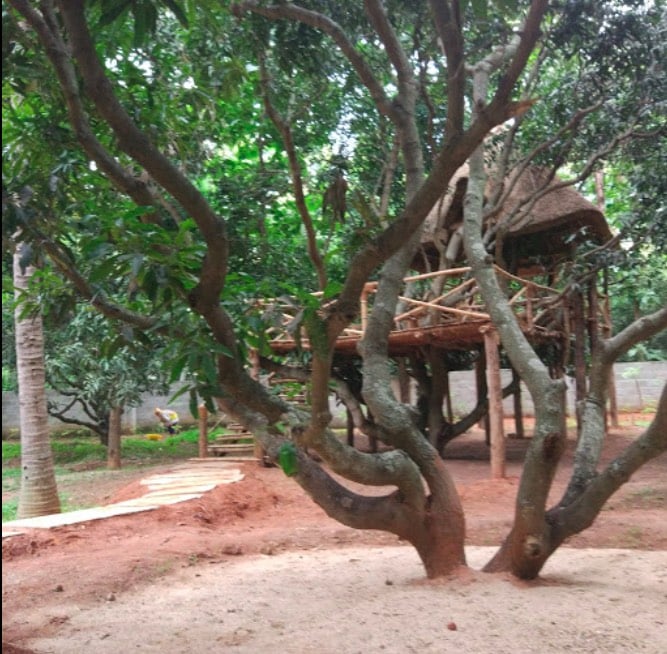 Rohan Upavan Tree House