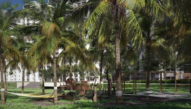 Rohan Upavan Coconut Trees