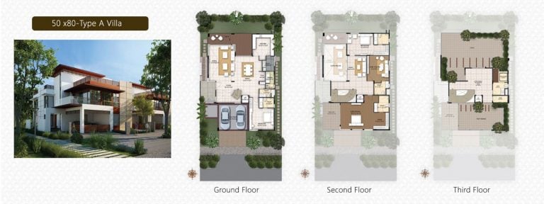 A Villa – 50×80 NCC Urban Misty Woods