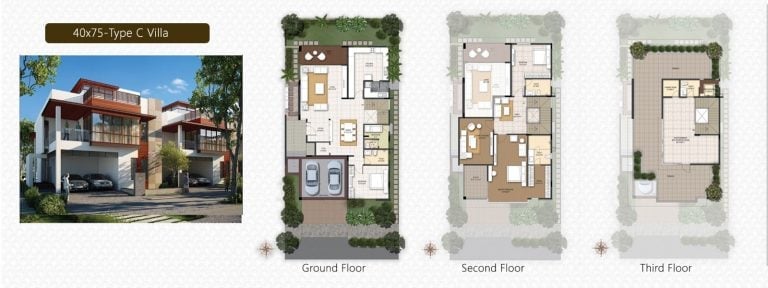 C Villa – 40×75 NCC Urban Misty Woods