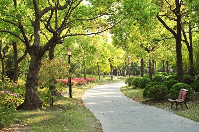 Garden Walkway - Birla Alokya Whitefield