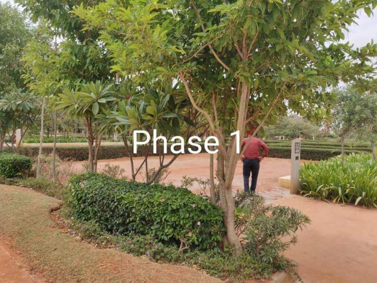 TGH Classic Bulwark Village - Site Photos 32