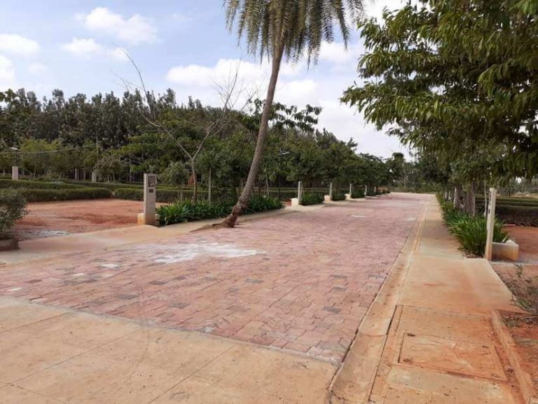 TGH Classic Bulwark Village - Site Photos 37