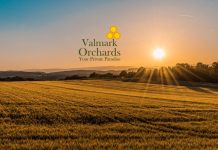 Valmark Orchards Devanahalli Main A