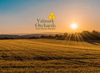 Valmark Orchards Devanahalli Main A