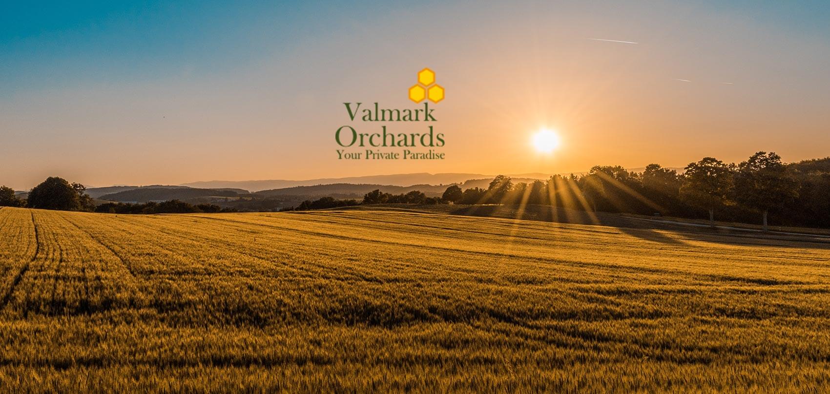 Valmark Orchards Devanahalli Main A