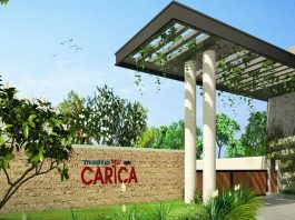 Mantri KNS Carica Main A