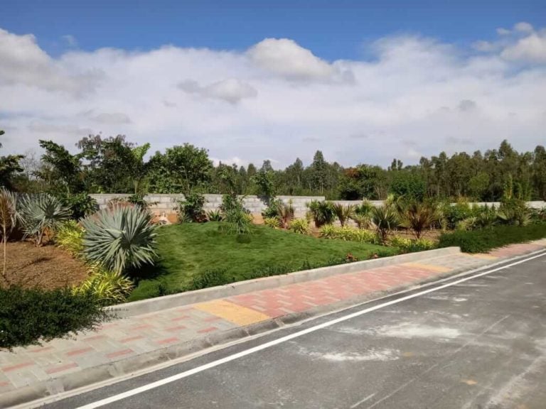 Site Photos 8 - Classic Featherlite The Sanctuary Plots