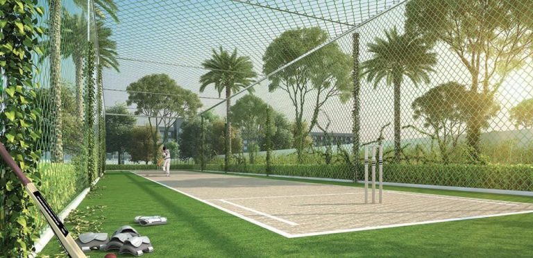 Cricket Pitch - TVS Emerald Green Enclave
