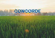 Concorde Elements Of Earth Plots Kanakapura Road A