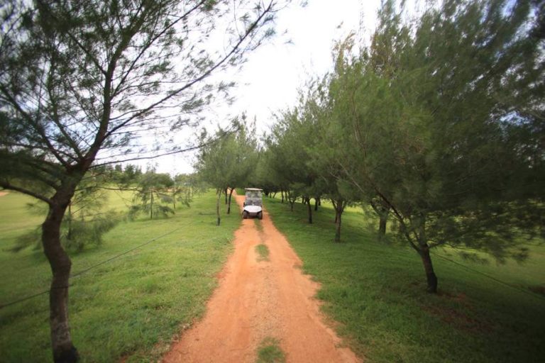 Golf-Course-Path - Assetz 18 And Oak Plots Sarjapur