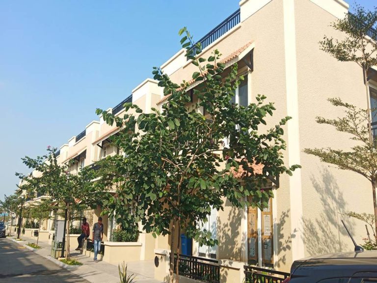 Site Photo Feb 2021 C - CasaGrand Bloom Chennai