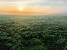 View Elevation - Godrej Ananda Bagalur