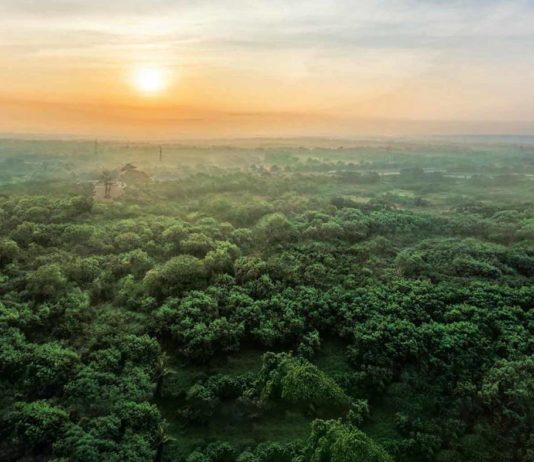 View Elevation - Godrej Ananda Bagalur