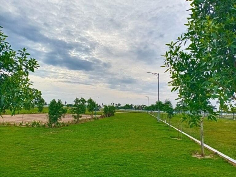 Elevation 18 - Alliance Villa Belvedere Plots