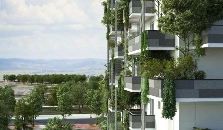 Elevation A - Mana Foresta