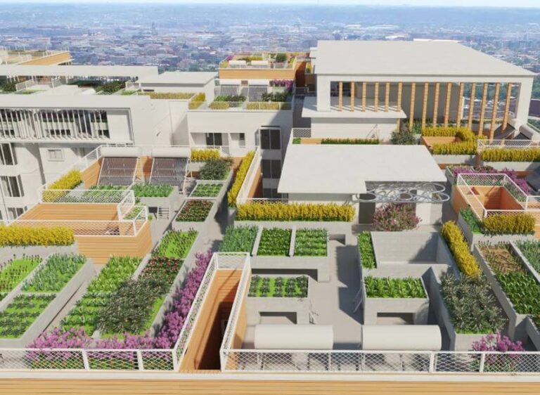 Rooftop Gardens - Mana Capitol Sarjapur