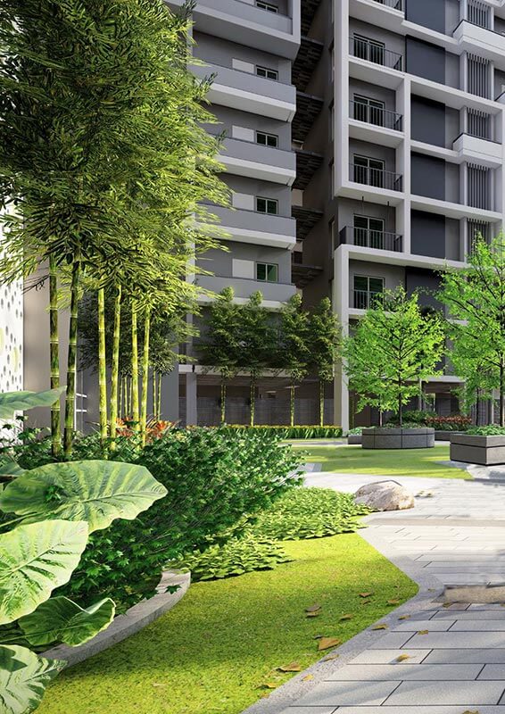 Manbhum Hometree Elevation C - Manbaum HomeTree