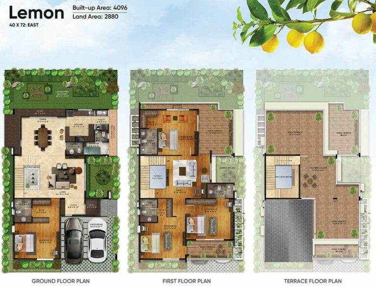 4096 Lemon East - NVT Symphony Of Orchards