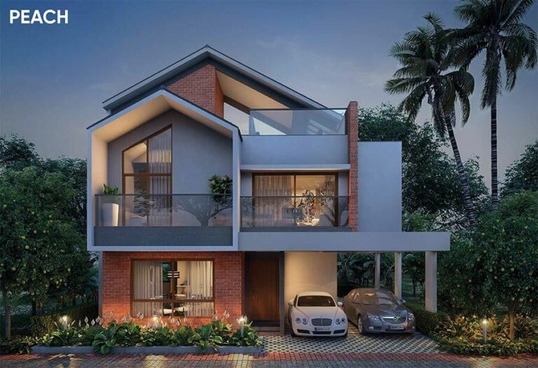 Peach - NVT Symphony Of Orchards