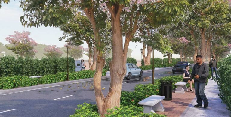 Elevation A - Prestige Marigold Plots