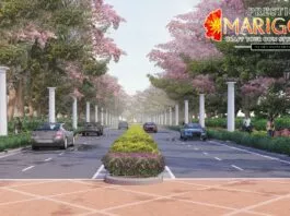 Main Elevation - Prestige Marigold Plots
