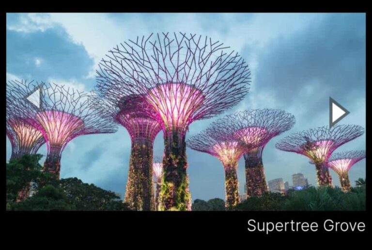 Supertree Grove - Sobha Sentosa