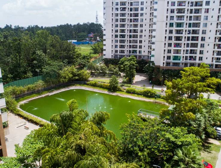 Elevation 4 - SNN Raj Serenity Gardens Phase 2