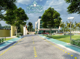Elevation 23 - Global White Pearl Plots
