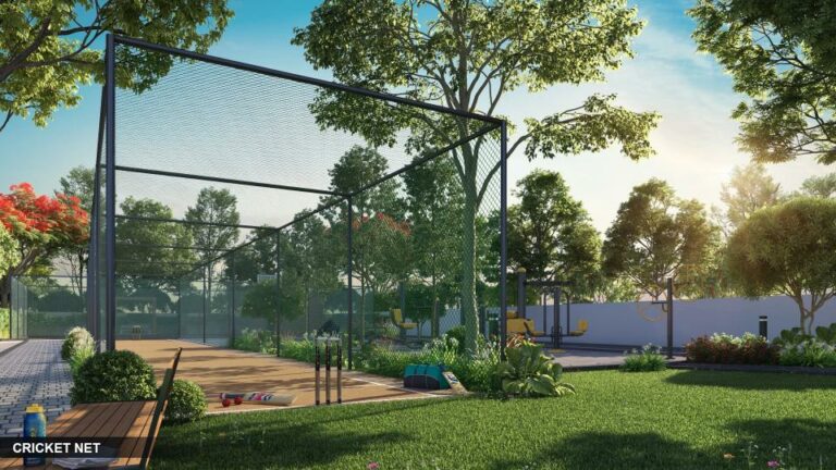 Cricket-Pitch - Radiance Flourish