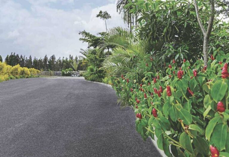 Elevation 3 - SPA EcoCity Plots
