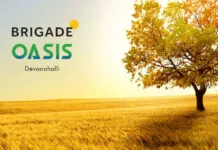 Brigade Oasis Plchld HNS