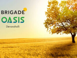 Brigade Oasis Plchld HNS