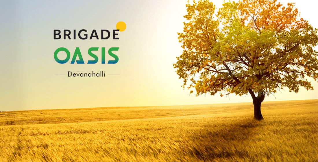 Brigade Oasis Plchld HNS