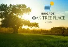 Brigade Oak Tree Place Plots Main-PH