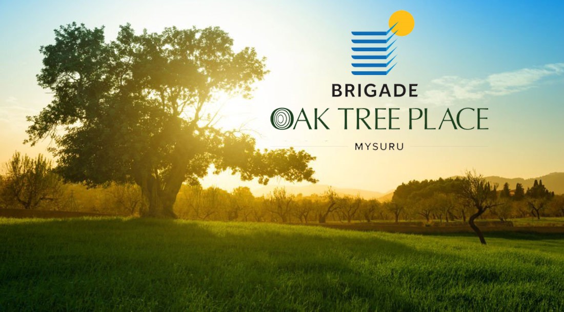 Brigade Oak Tree Place Plots Main-PH