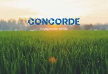 Concorde Equity Plots Malur