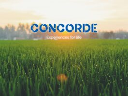 Concorde Equity Plots Malur
