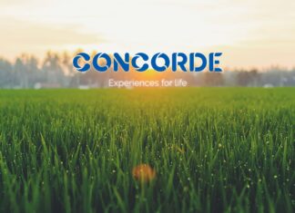 Concorde Equity Plots Malur