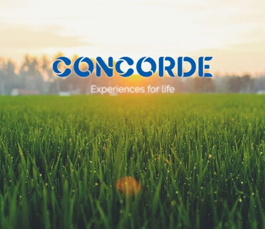 Concorde Equity Plots Malur